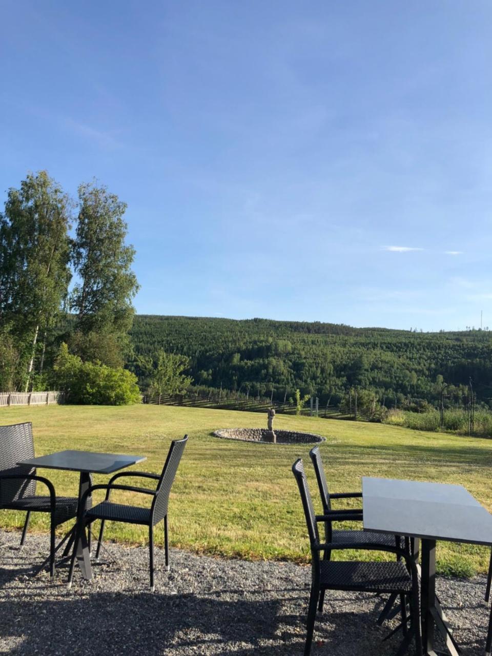 Hotell Restaurang Naemforsen Näsåker Dış mekan fotoğraf