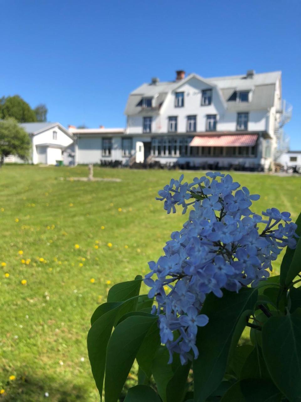 Hotell Restaurang Naemforsen Näsåker Dış mekan fotoğraf