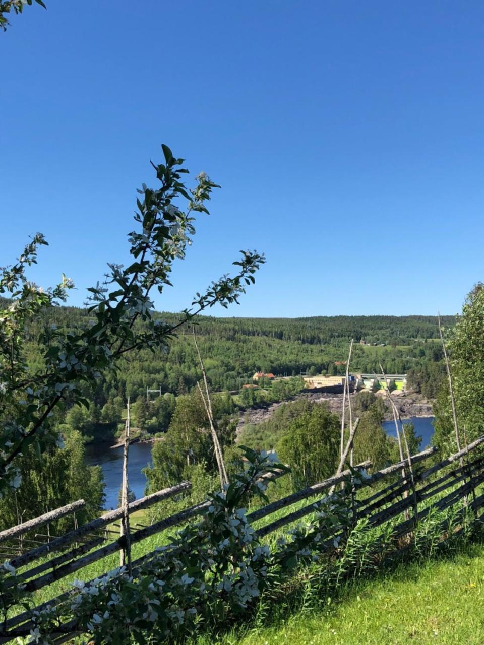 Hotell Restaurang Naemforsen Näsåker Dış mekan fotoğraf