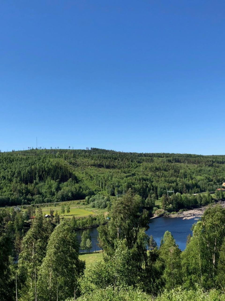 Hotell Restaurang Naemforsen Näsåker Dış mekan fotoğraf
